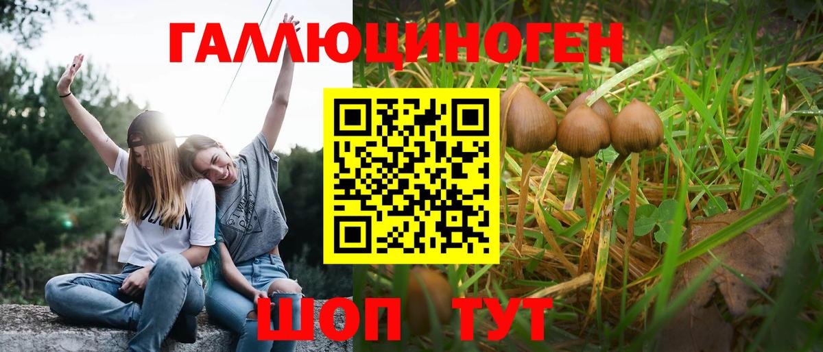 Новокубанск  Псилоцибиновые грибы Magic Shrooms  Вход с VPN  Галлюциногенные грибы MAGIC MUSHROOMS 