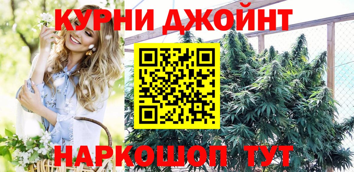 Бошки Шишки конопля Новокубанск